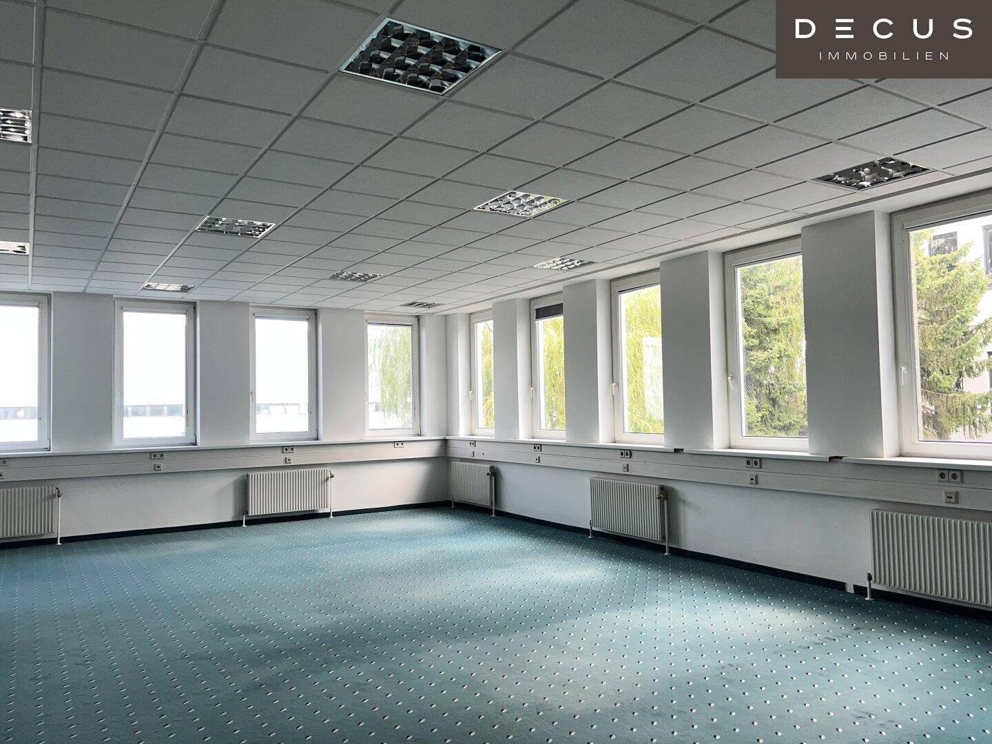 Leeres Büro mit grünem Teppichboden, vielen Fenstern und Heizkörpern entlang der Wände.