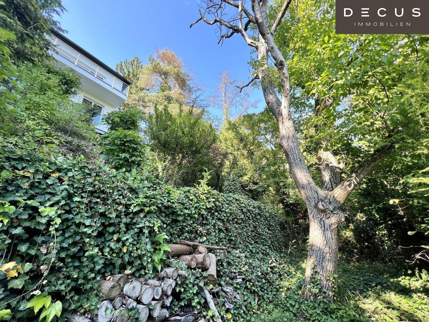 DECUS - Immobilien