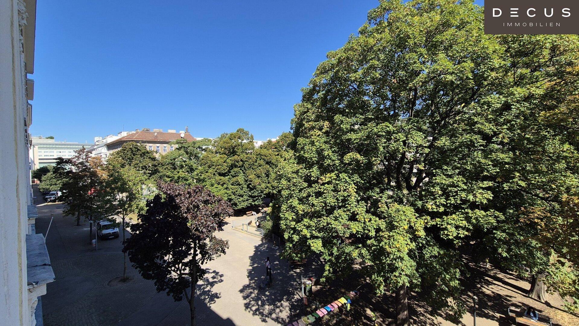 Weitläufiger Blick auf eine grüne Allee mit hohen Bäumen und städtischer Umgebung, bietet eine ruhige Aussicht.
