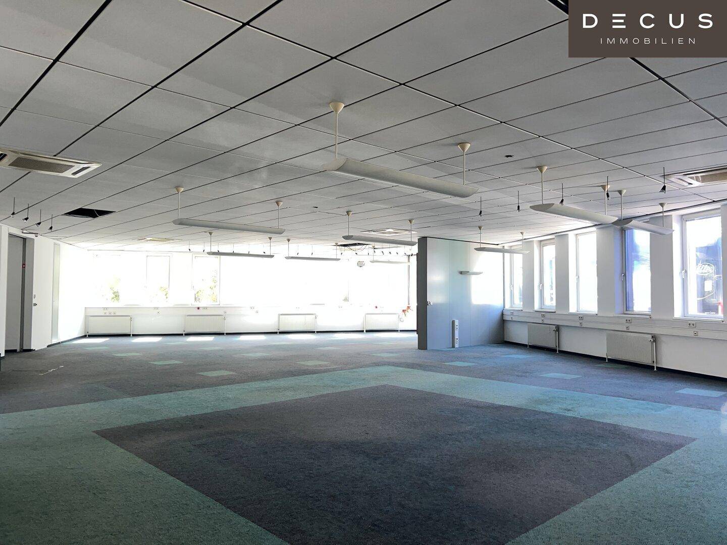 Großer, leerer Büroraum mit Teppichboden, abgehängter Decke und vielen Fenstern für natürliches Licht.