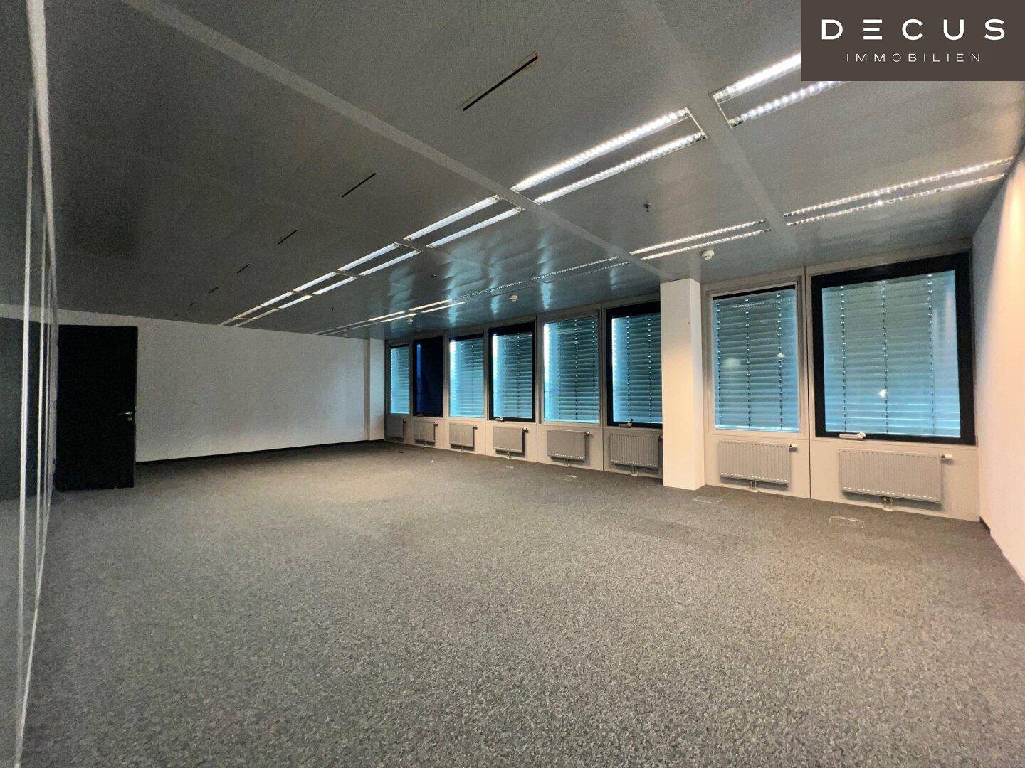 Großer, heller Büroraum mit Teppichboden, vielen Fenstern und Deckenbeleuchtung.