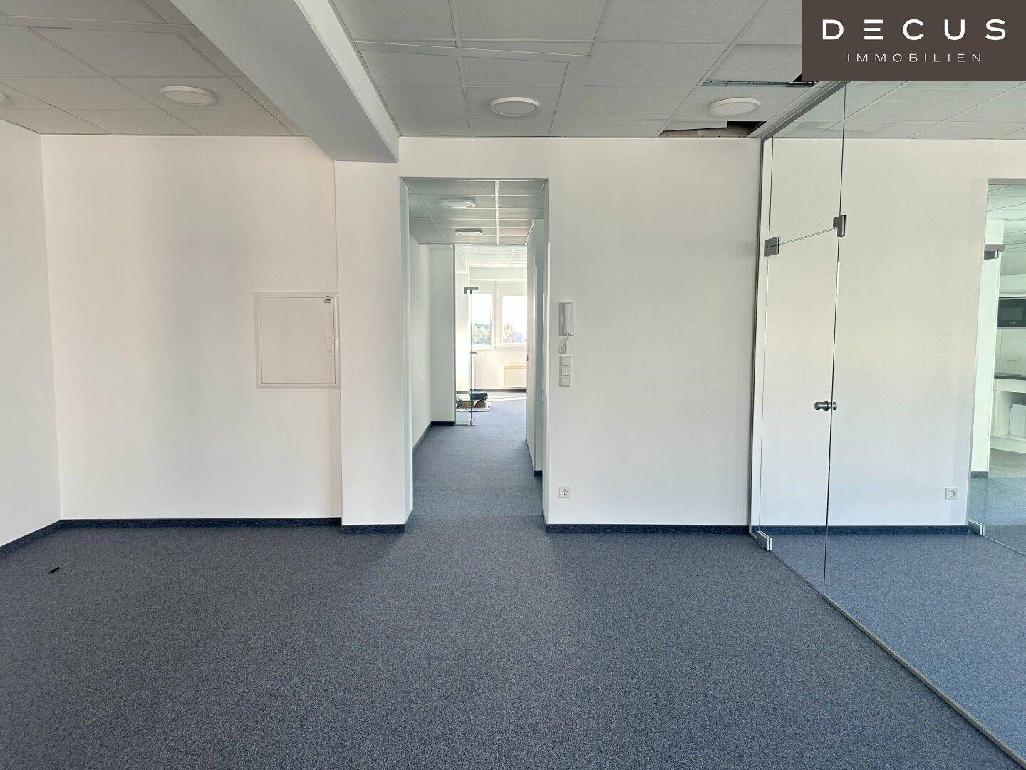 Heller Bürogang mit Teppichboden und Glaswänden, der zu weiteren Büroräumen führt.