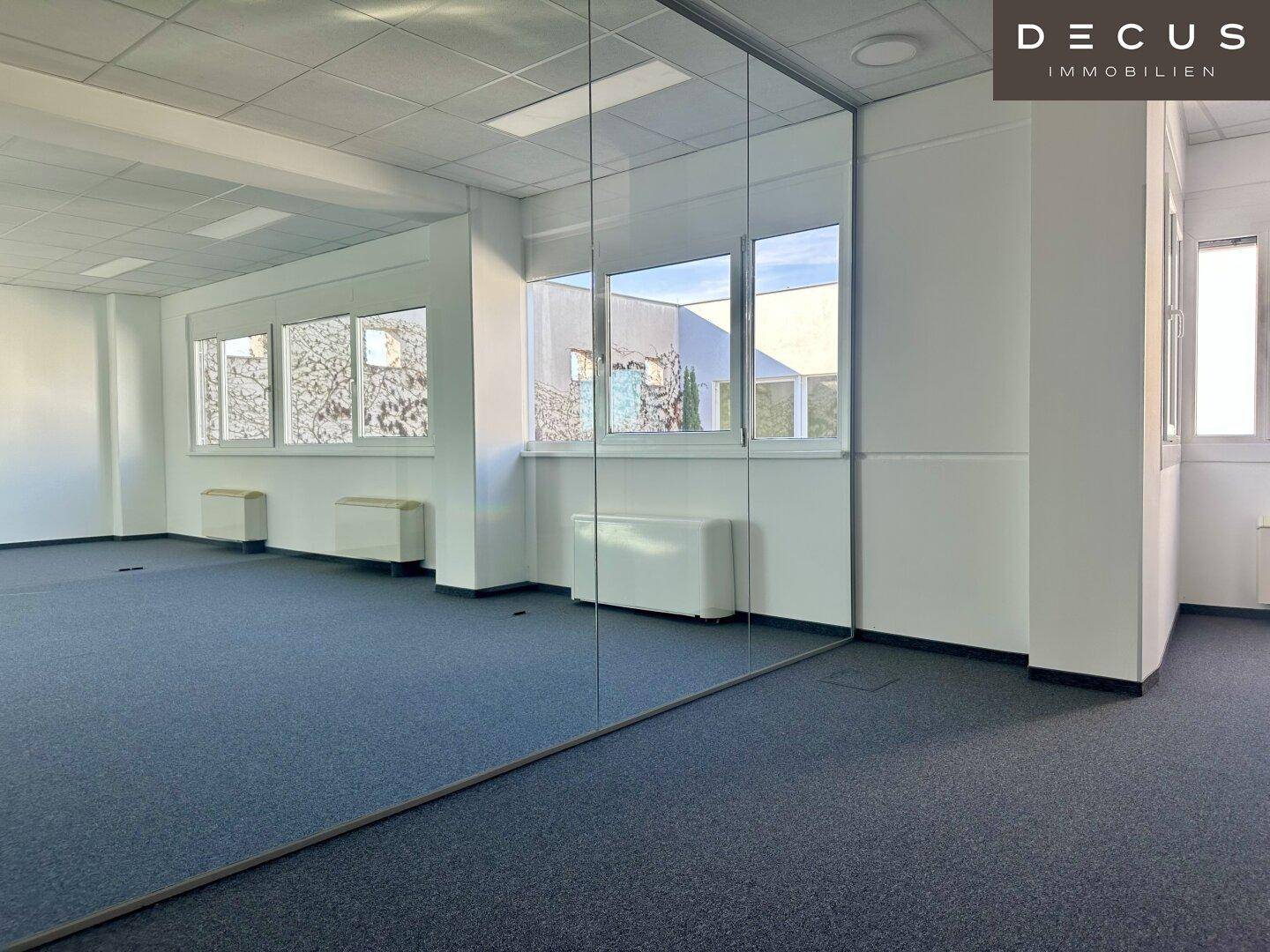 Geräumiges Büro mit großen Fenstern und grauem Teppichboden, bietet viel Tageslicht.