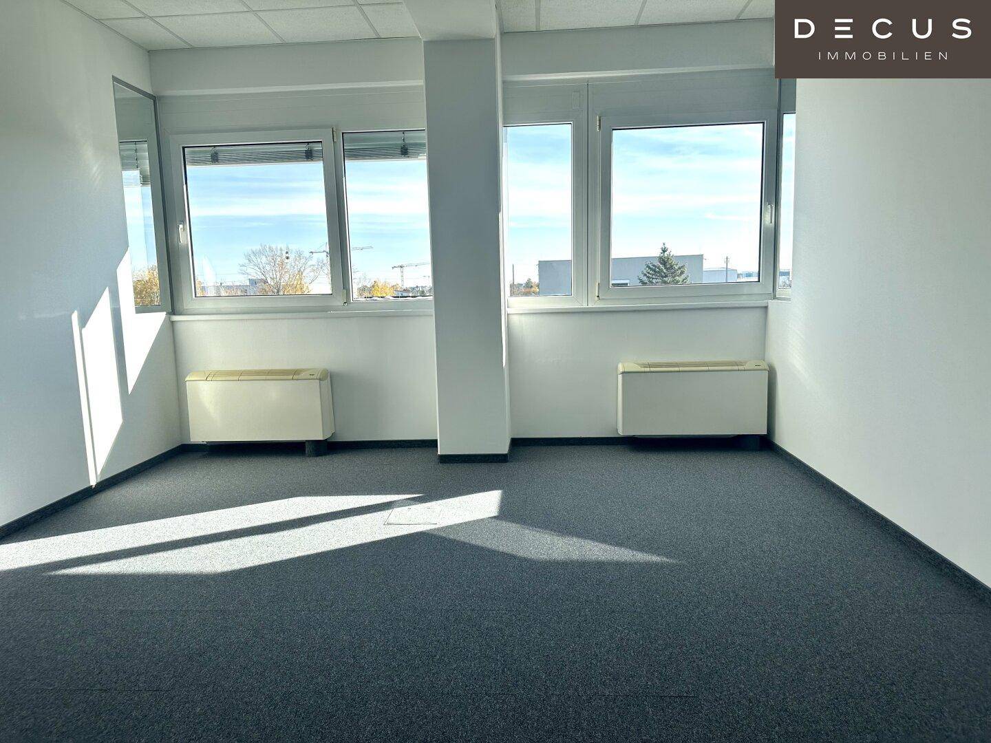 Leerer Büroraum mit grauem Teppichboden und großen Fenstern, die viel Licht hereinlassen.