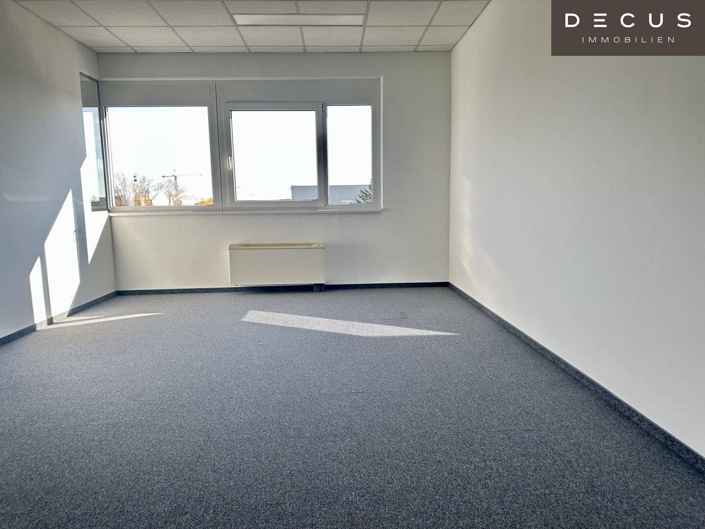 Leerer Büroraum mit grauem Teppichboden und großen Fenstern, die eine helle Arbeitsumgebung schaffen.