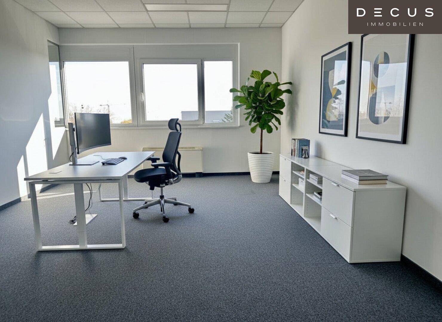 Modernes Einzelbüro mit Schreibtisch, Bürostuhl und einem Sideboard, gut beleuchtet durch Fenster.