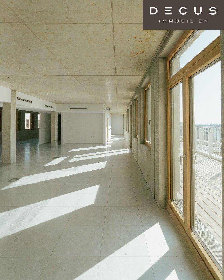 Langer, heller Raum mit Fliesenboden und vielen Fenstern, die viel Tageslicht hereinlassen.