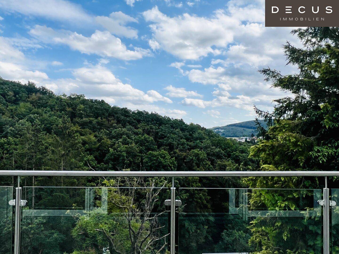 Panoramablick auf die bewaldete Hügellandschaft von einem erhöhten Standpunkt.