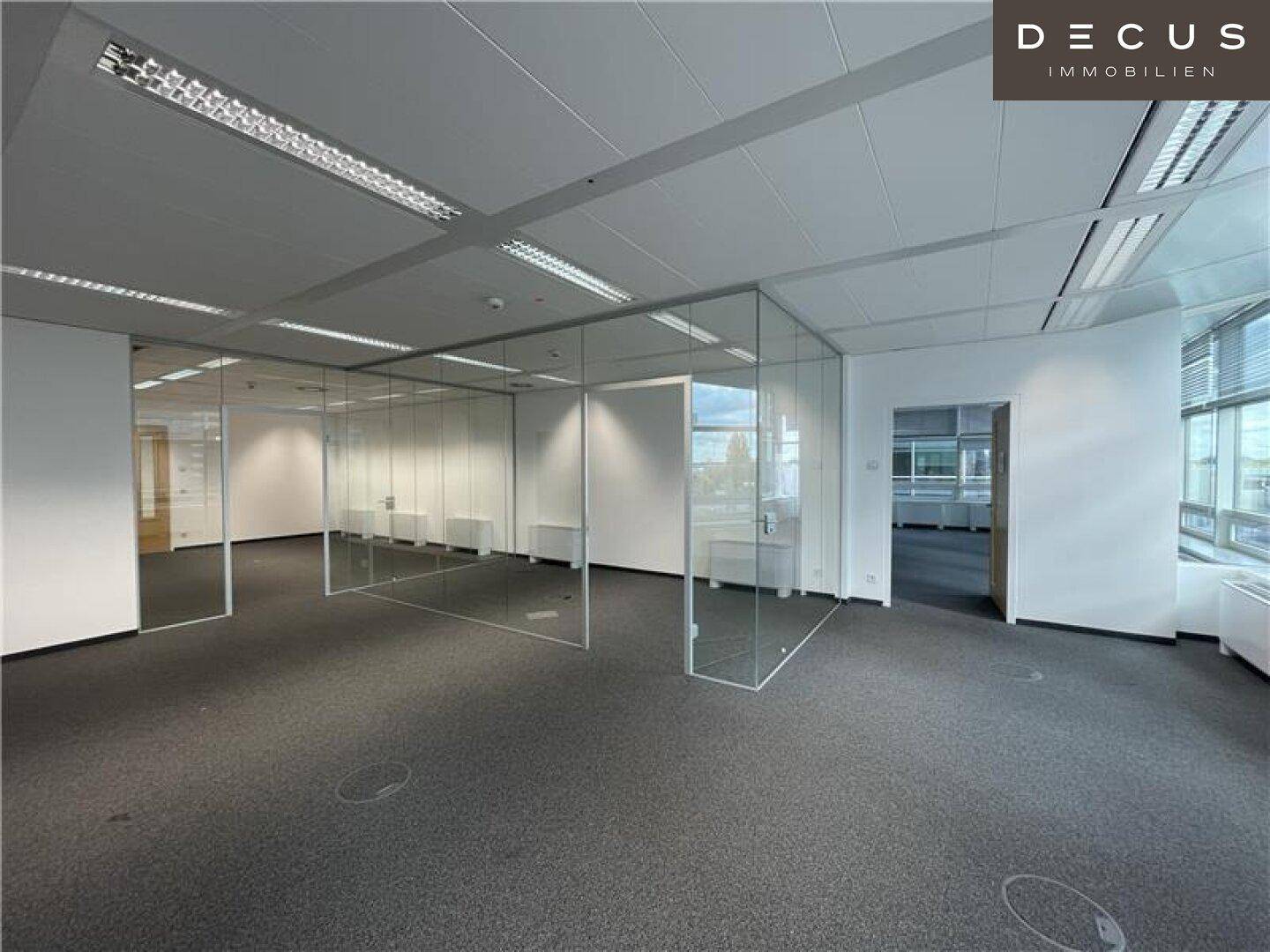 Großes Büro mit Teppichboden und Glaswänden, die flexible Raumaufteilung ermöglichen.