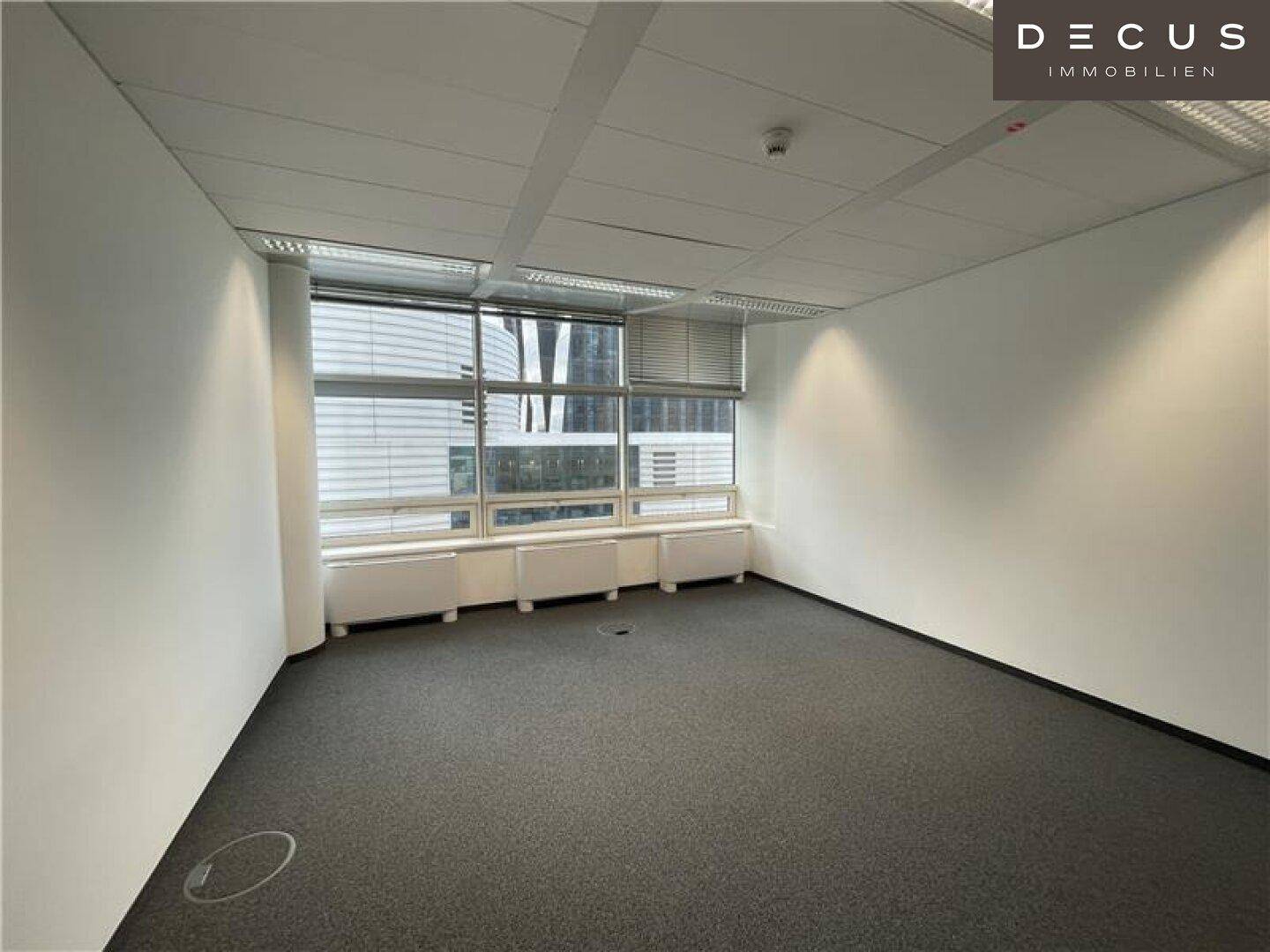 Leeres Büro mit Teppichboden und Fensterfront, die viel Tageslicht hereinlässt.