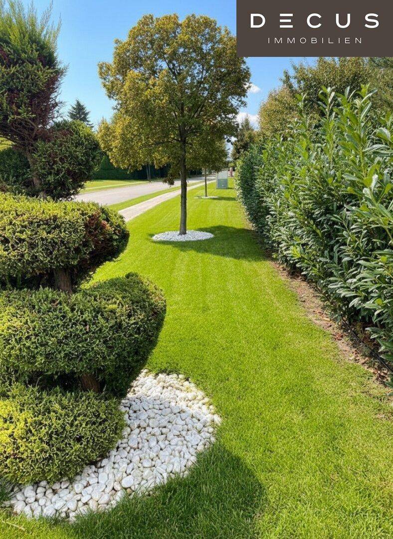 Gepflegter Gartenbereich mit Rasen, Hecke und einem Baum, der von weißem Kies umgeben ist.