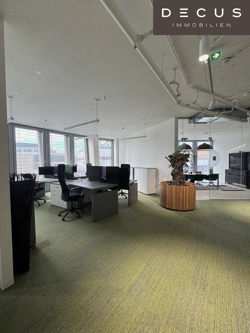 Großes, offenes Büro mit mehreren Arbeitsplätzen, grünem Teppichboden und großen Fenstern.