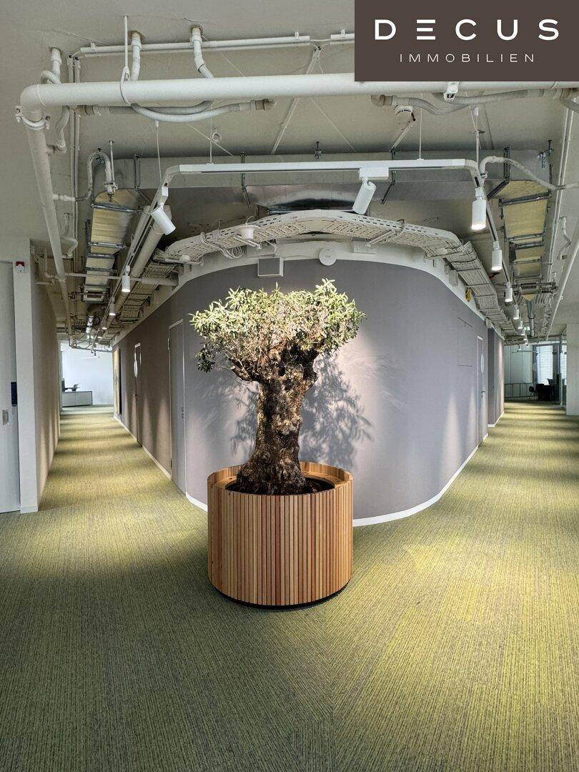 Langer Flur mit grünen Teppichböden, einer großen Pflanze und freiliegenden Deckeninstallationen.
