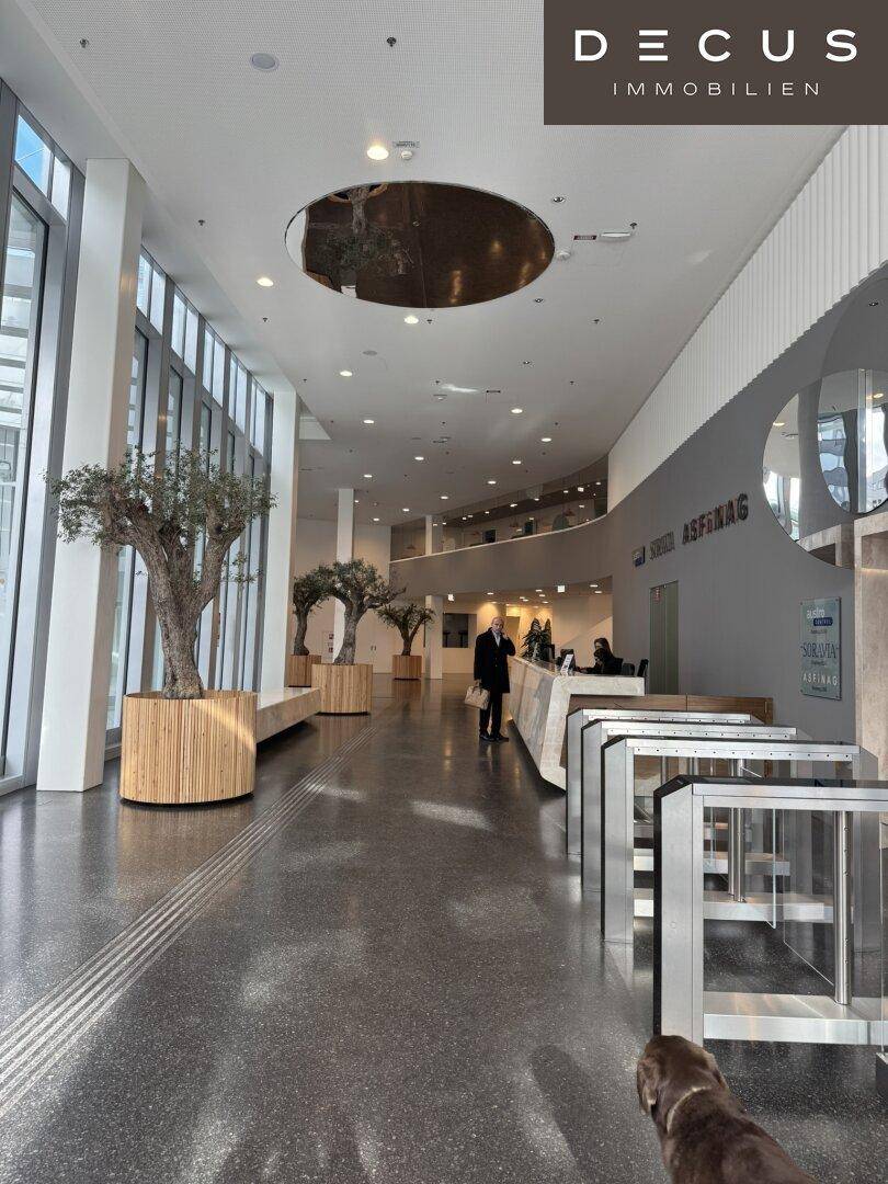 Geräumige, moderne Lobby mit hohen Decken, großen Fenstern und dekorativen Olivenbäumen in Holzkübeln.