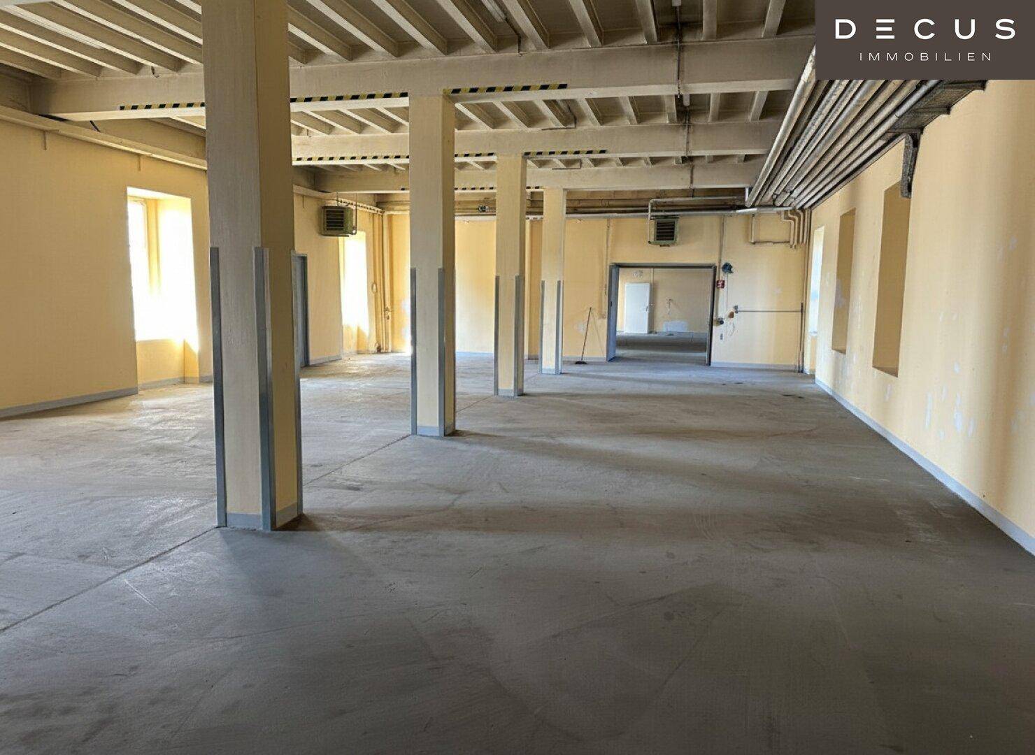 | Büro- und Lagerkombination in Top-Lage nahe Flughafen Wien | ca. 285 m² Lager/Halle zzgl. ca. 162 m² Büroflächen - Ansicht 5