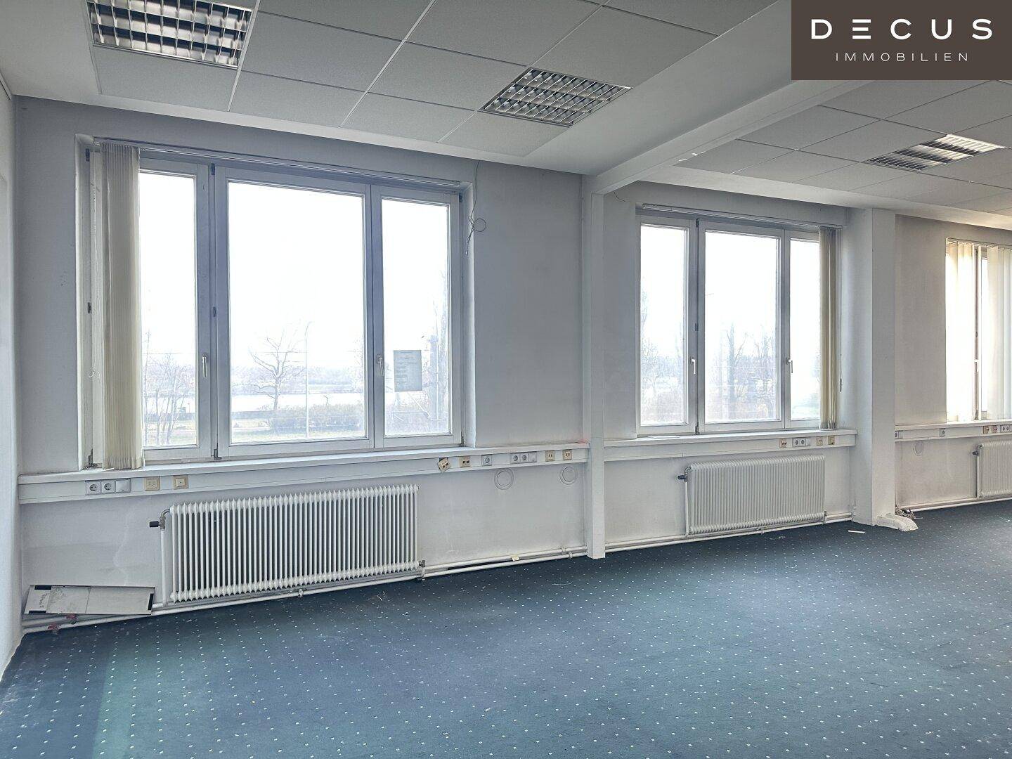 Großes, helles Büro mit Teppichboden und mehreren Fenstern, die viel Tageslicht hereinlassen.