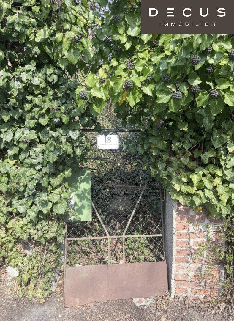 Verwachsenes Eisentor mit der Hausnummer 18, umgeben von dichtem Efeu und Vegetation.