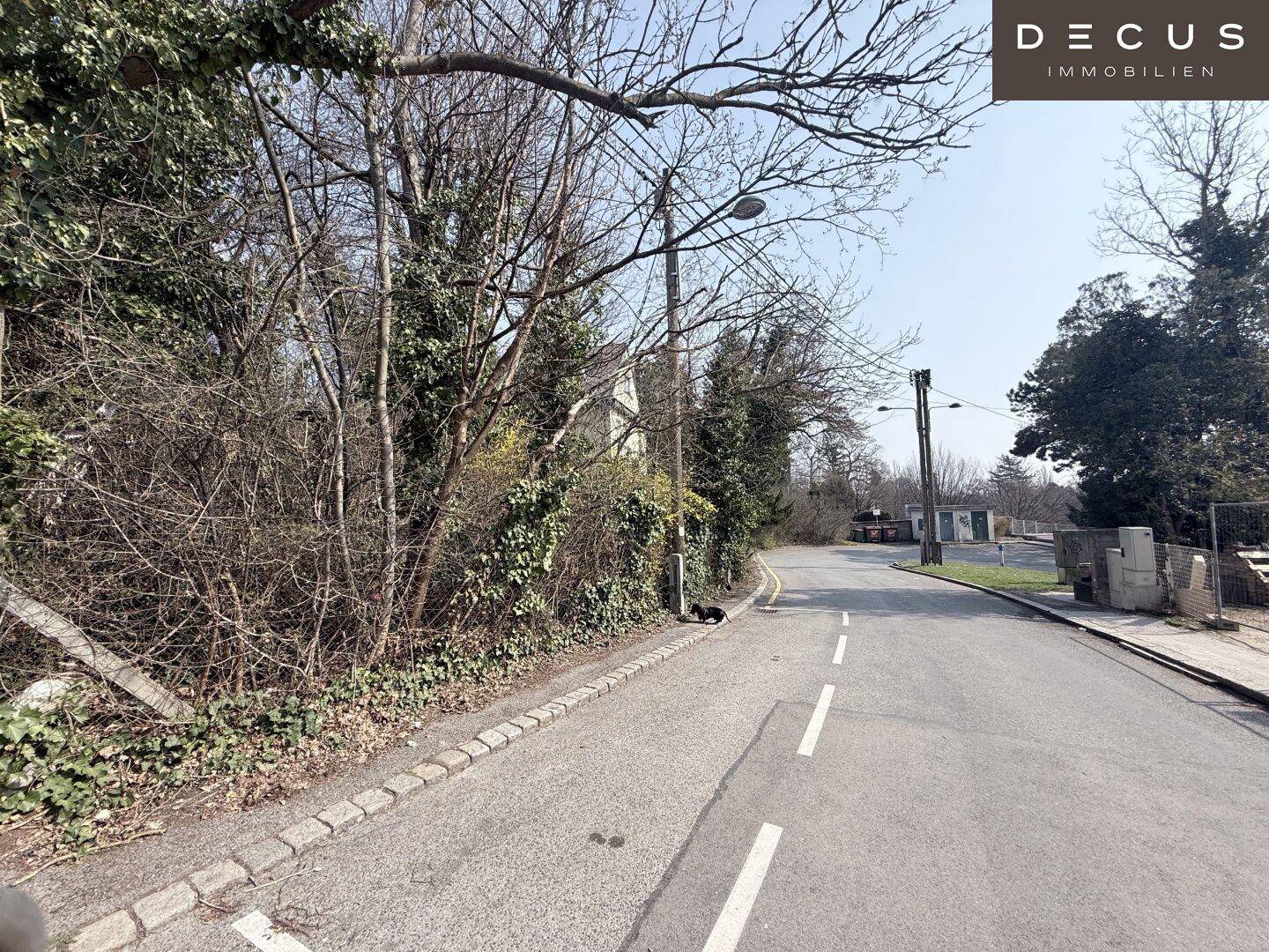 Straße mit üppiger Vegetation an den Seiten, die in eine offene Landschaft führt, unter klarem Himmel.