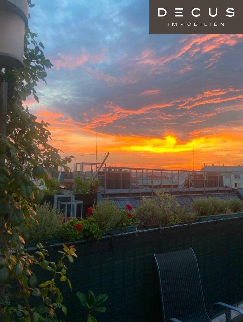 Malerischer Sonnenuntergang über der Stadt, gesehen von einer begrünten Dachterrasse.
