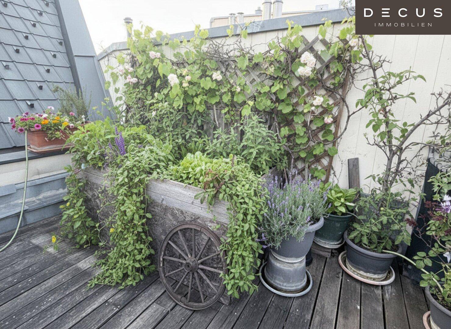 Rustikale Dekoration auf der Dachterrasse mit einem alten Holzwagen als Pflanzgefäß und Kletterpflanzen.