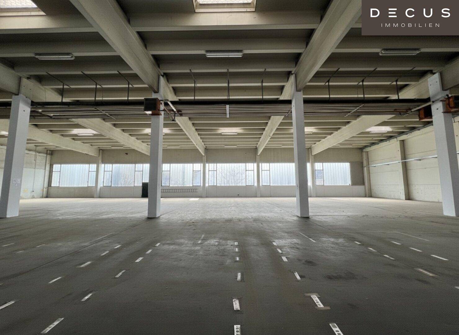 Weitläufige Lagerhalle mit vielen Fenstern, Oberlichtern und sichtbaren Deckenbalken.