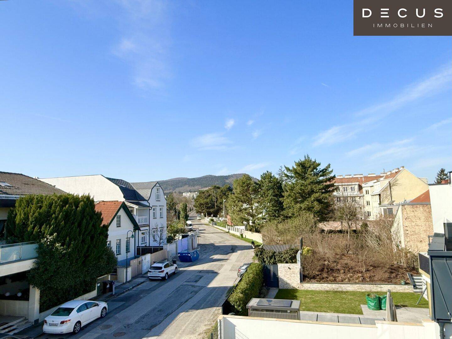 Weitläufiger Blick über die ruhige Wohnstraße mit Bäumen und Häusern unter blauem Himmel.