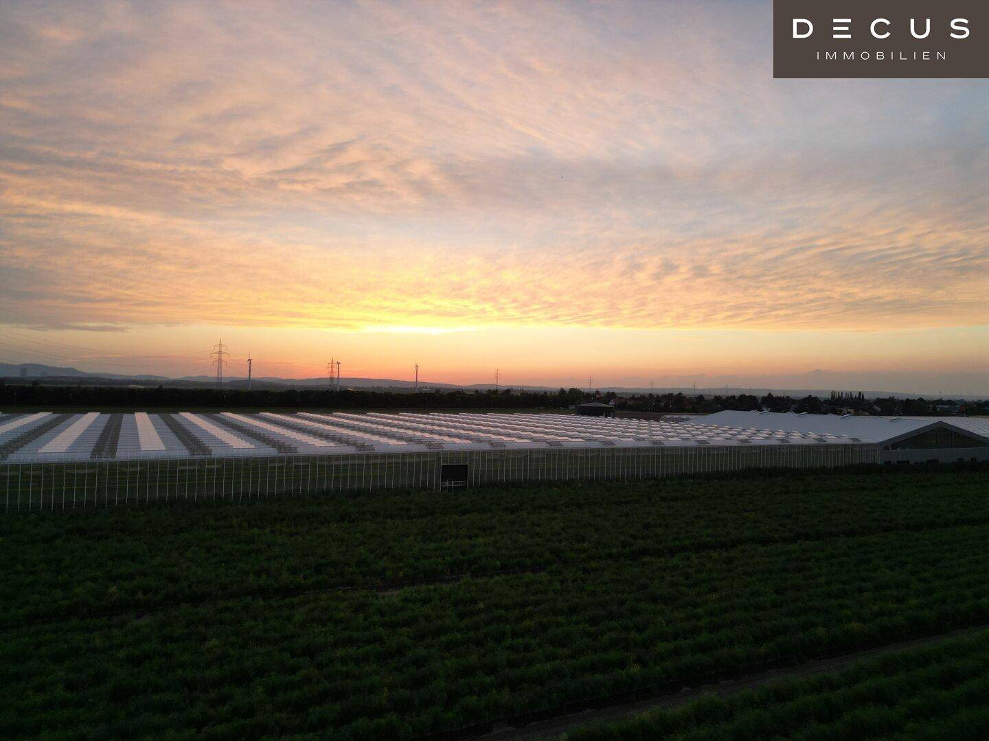 Sonnenuntergang über einer weiten Landschaft mit großen Gewächshäusern und sanften Hügeln.