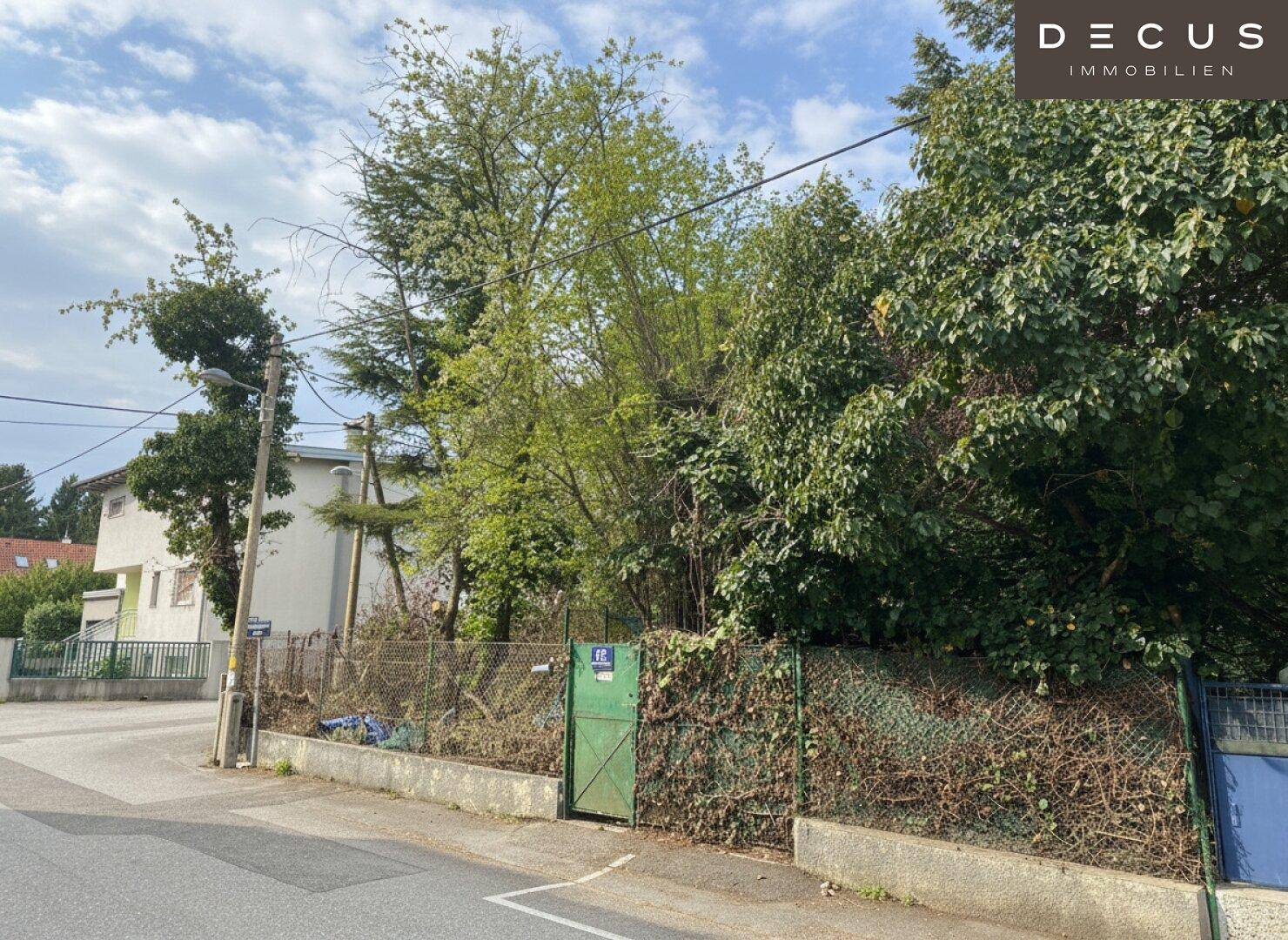 Blick auf das verwilderte Grundstück mit einem grünen Tor und angrenzender Straße.