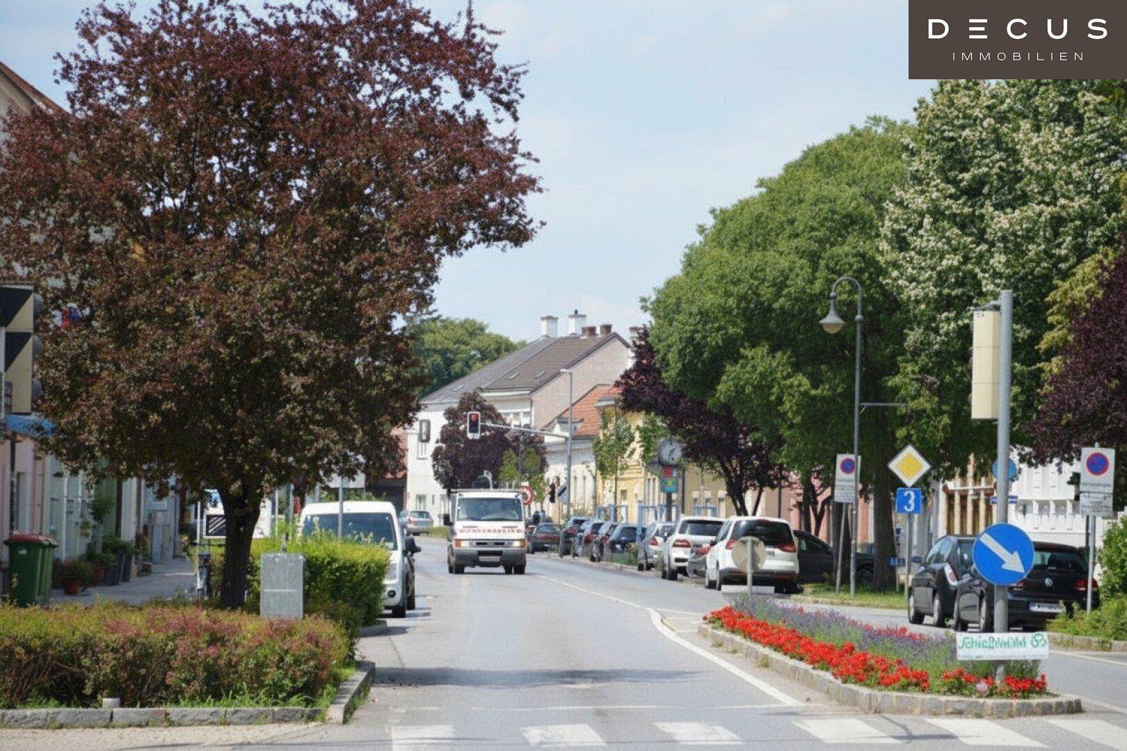 Straßenansicht mit geparkten Autos, blühenden Blumenbeeten und Bäumen an einem sonnigen Tag.