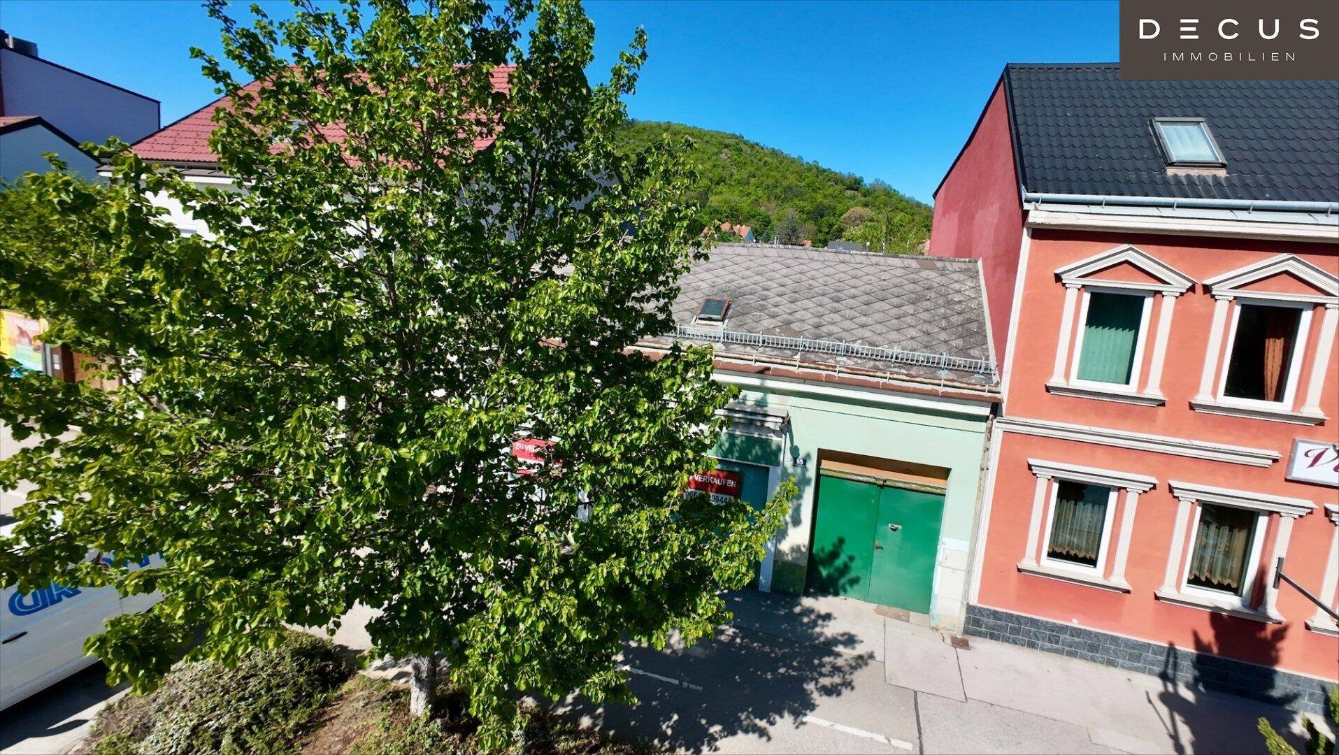 Nahaufnahme der Straßenseite mit Gebäuden, einem großen Baum und einem grünen Tor.