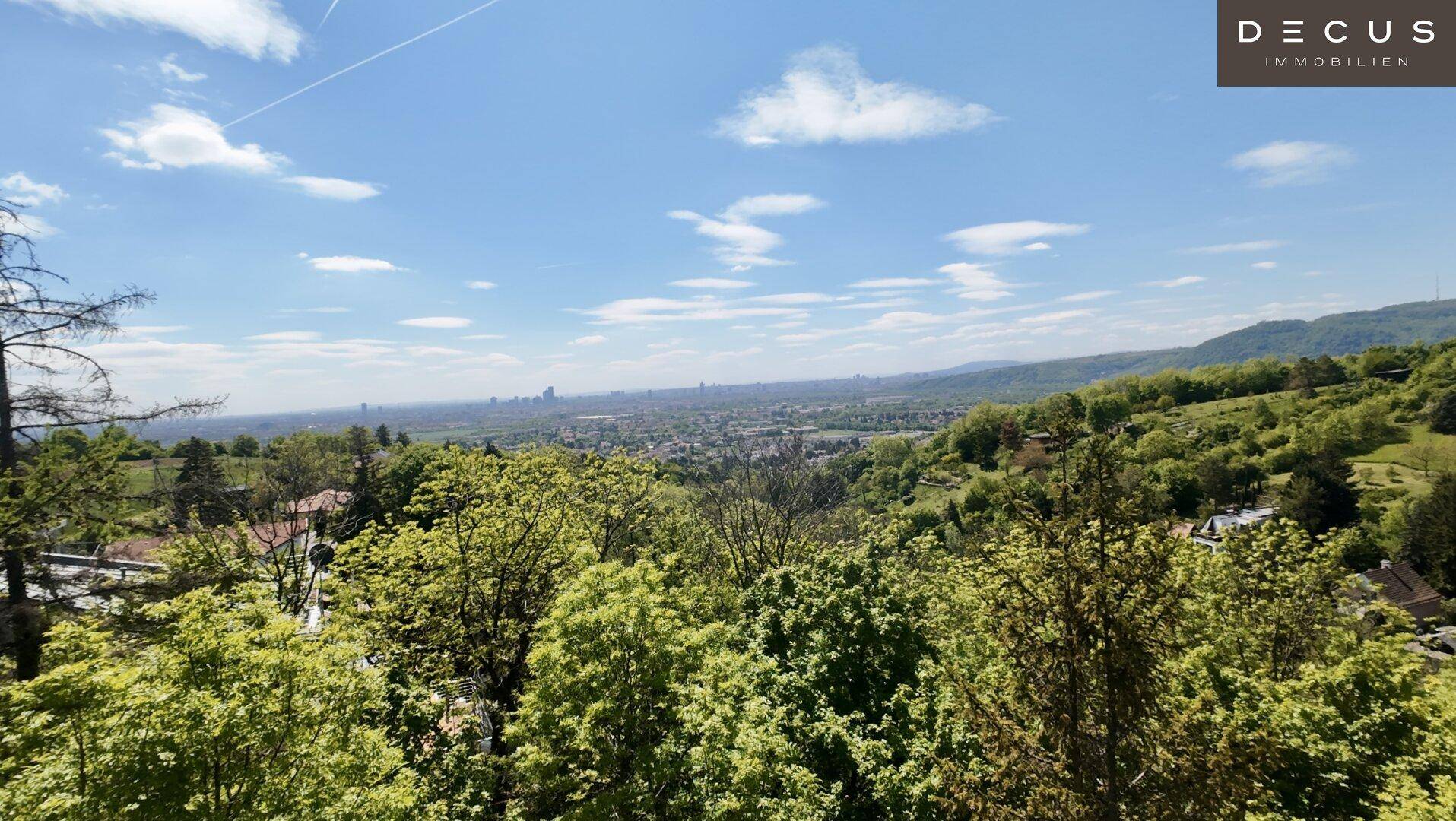 Panoramablick über Baumwipfel hinweg auf eine ferne Stadtlandschaft unter blauem Himmel.