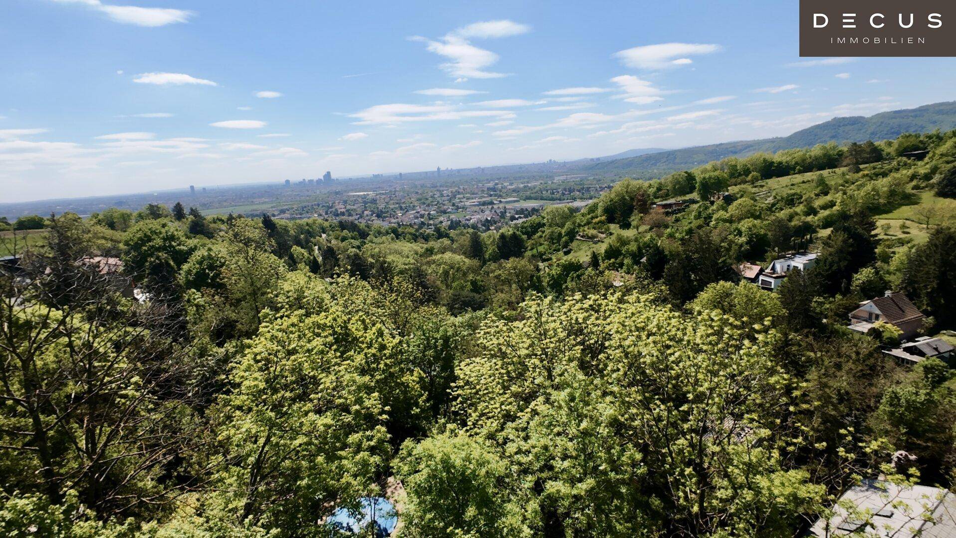 Weitblick über grüne Baumkronen auf eine ausgedehnte Stadt in der Ferne.