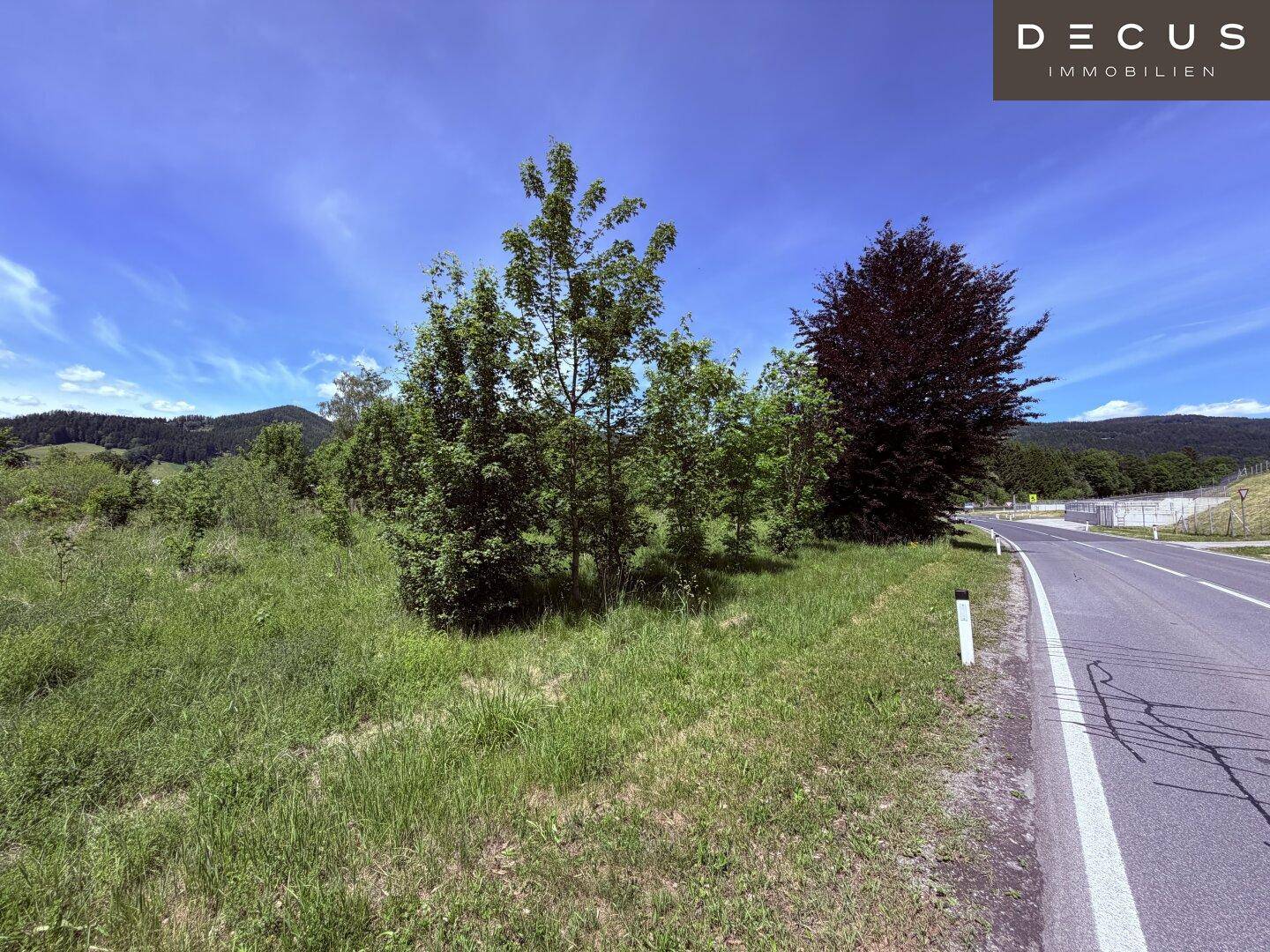 Grüne Wiese und Bäume entlang einer Landstraße unter einem weiten blauen Himmel mit Wolken.