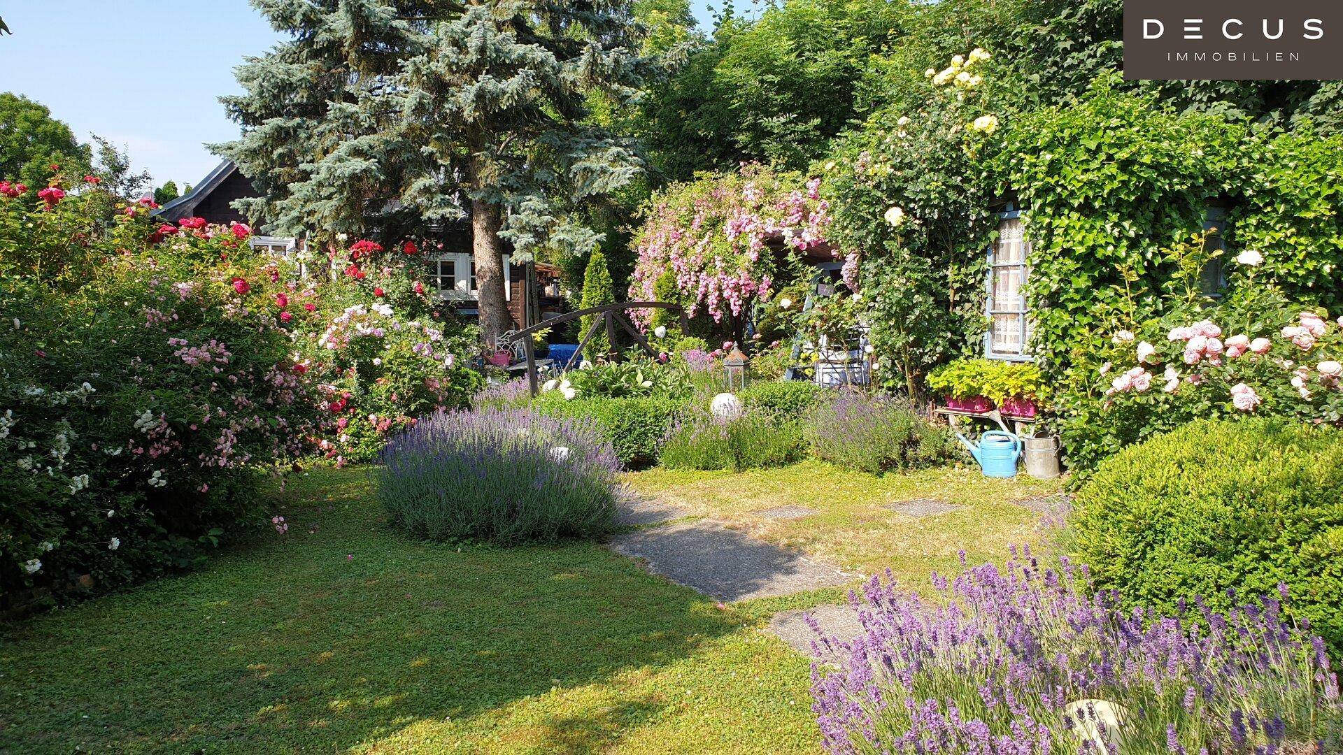 Sonnengrundstück beim Wilhelminenberg - Ansicht 4