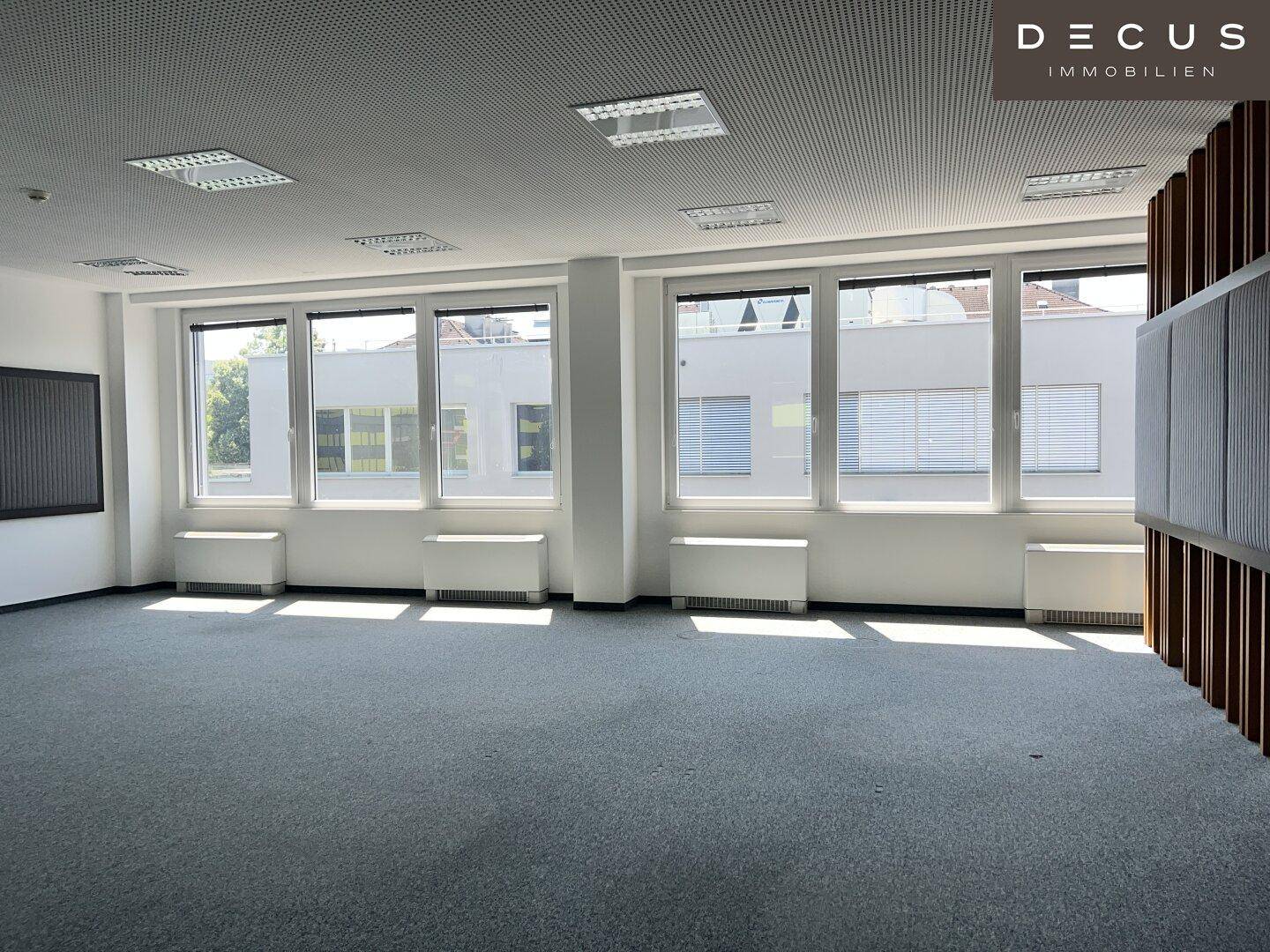 Heller Büroraum mit mehreren Fenstern, die viel Tageslicht hereinlassen, und Teppichboden.