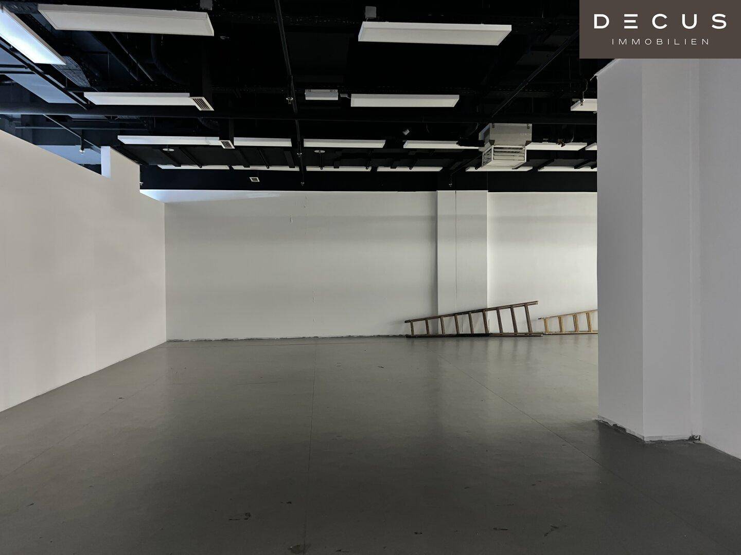 Geräumiger, unmöblierter Gewerberaum mit hohen Decken und industriellem Charme, bereit für den Ausbau.