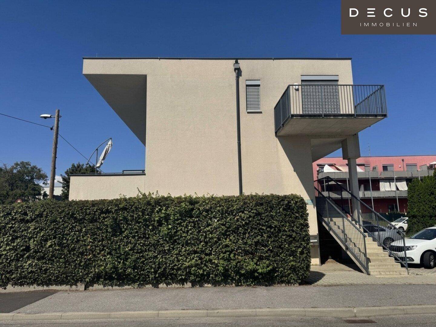 Slide 5