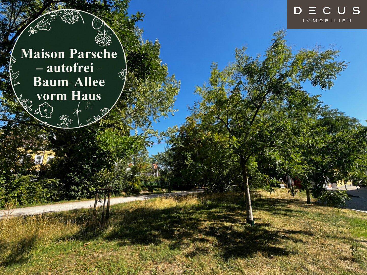 Eine autofreie Baum-Allee vor dem Haus, umgeben von Grünflächen und hohen Bäumen.