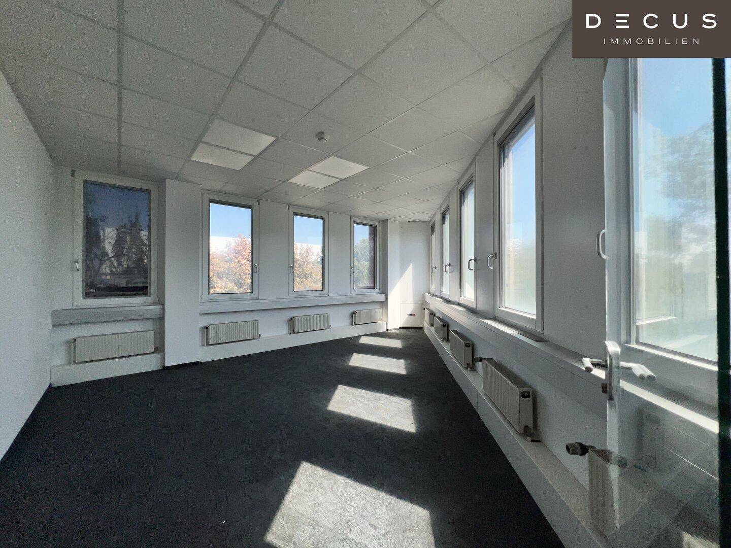 Heller Büroraum mit dunklem Teppichboden, vielen Fenstern und Heizkörpern unter der Fensterbank, gut gepflegt.