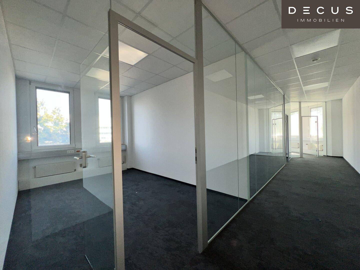 Modernes Büro mit Glaswänden zur Raumtrennung und Teppichboden, bietet viel Tageslicht und eine klare Ästhetik.