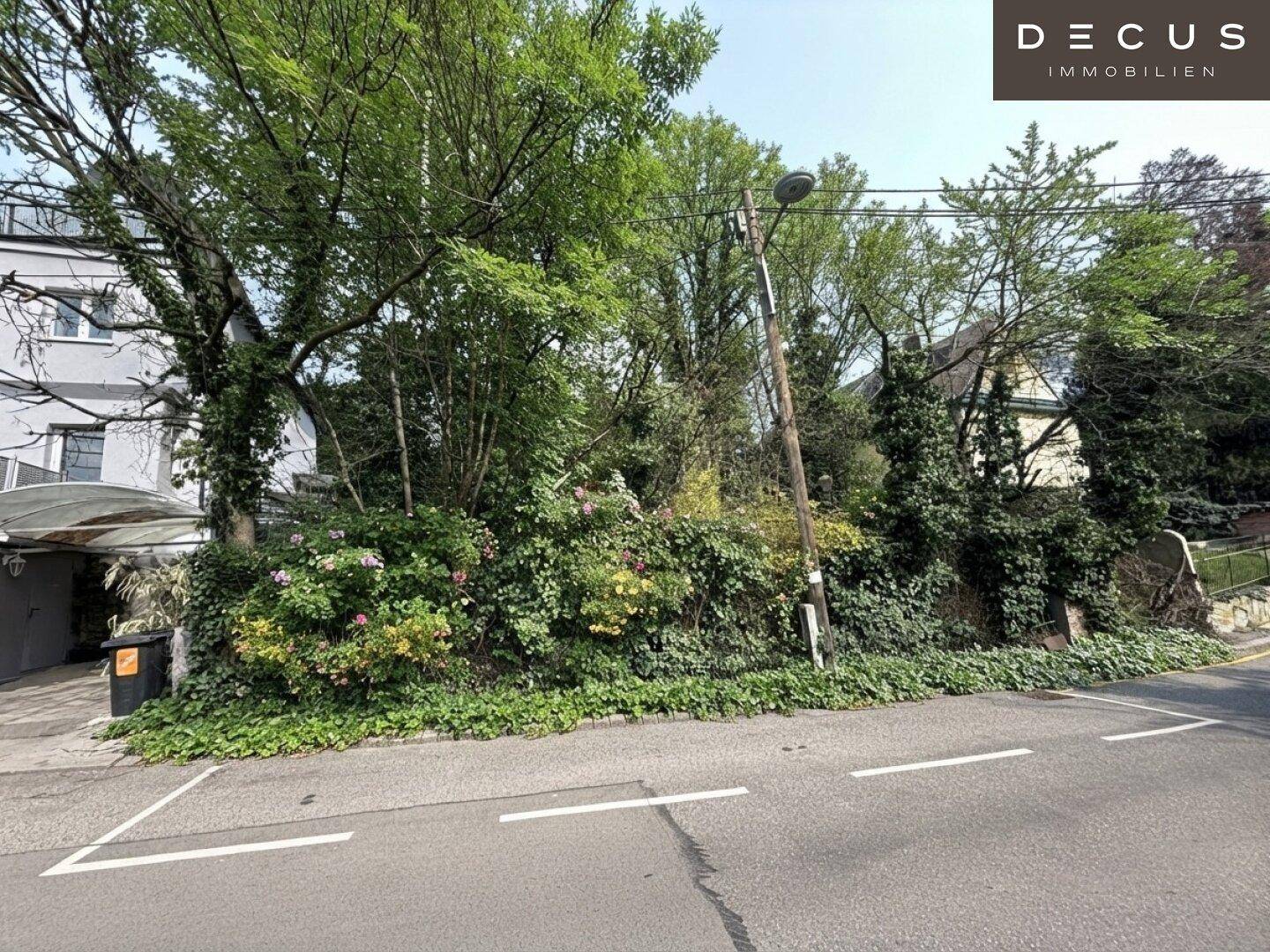 Blick von der Straße auf ein dicht bewachsenes Grundstück mit vielen Bäumen und Sträuchern.