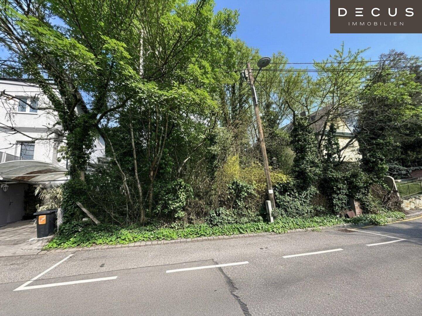 Unbebautes Grundstück an einer Straße, umgeben von Bäumen und Sträuchern.