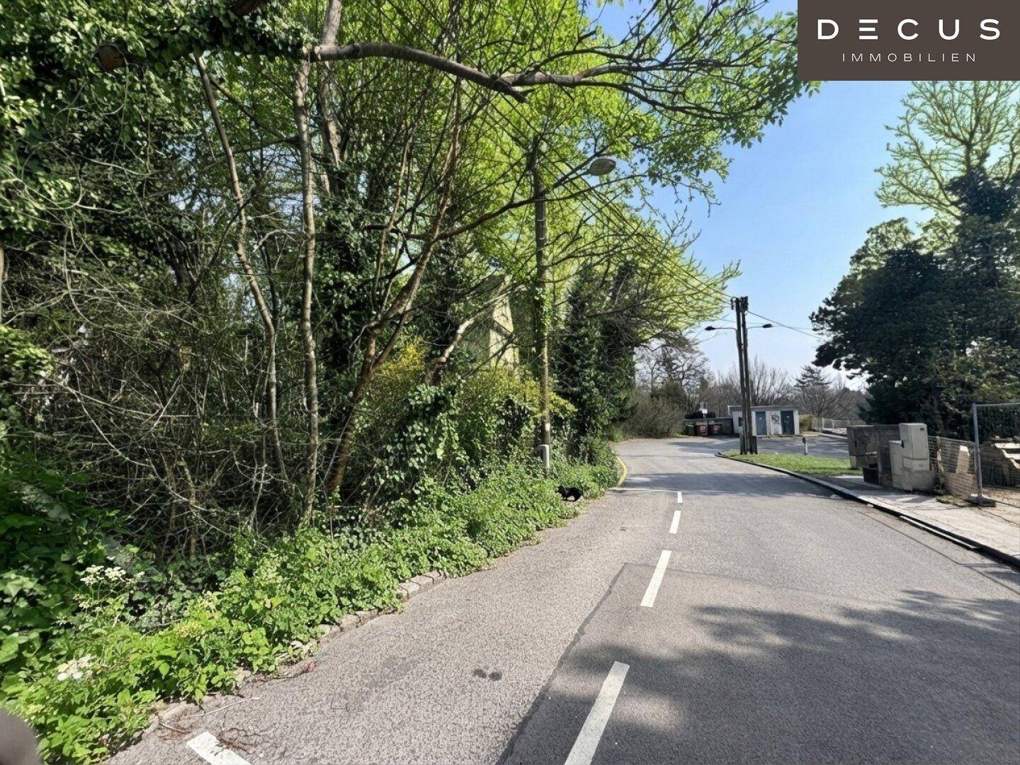 Ruhige Straße mit viel Grün und Bäumen, die eine ländliche Atmosphäre vermittelt.