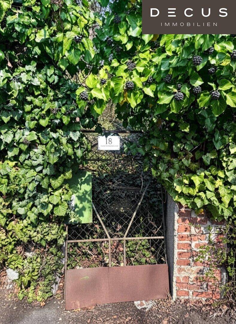 Altes, von Efeu überwuchertes Tor mit der Hausnummer 18, das den Eingang markiert.