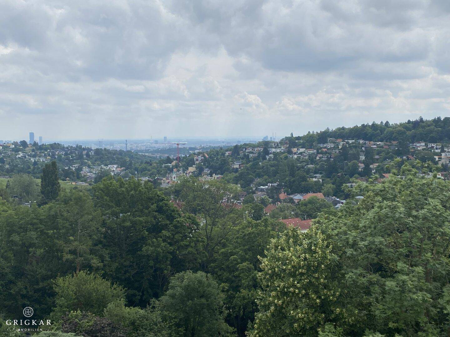 Panoramablick über eine grüne Hügellandschaft mit weitläufiger Stadtsilhouette am Horizont unter bewölktem Himmel.