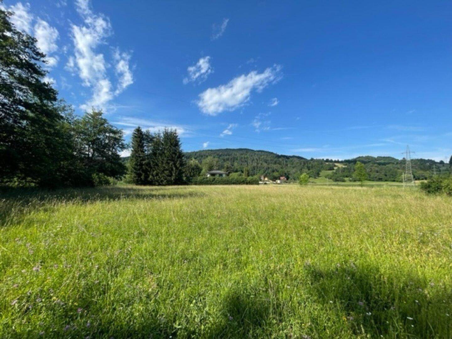 Schöne landwirtschaftliche Flächen mit 3.208m² - Nähe Hafnersee - Kein Baugrund!