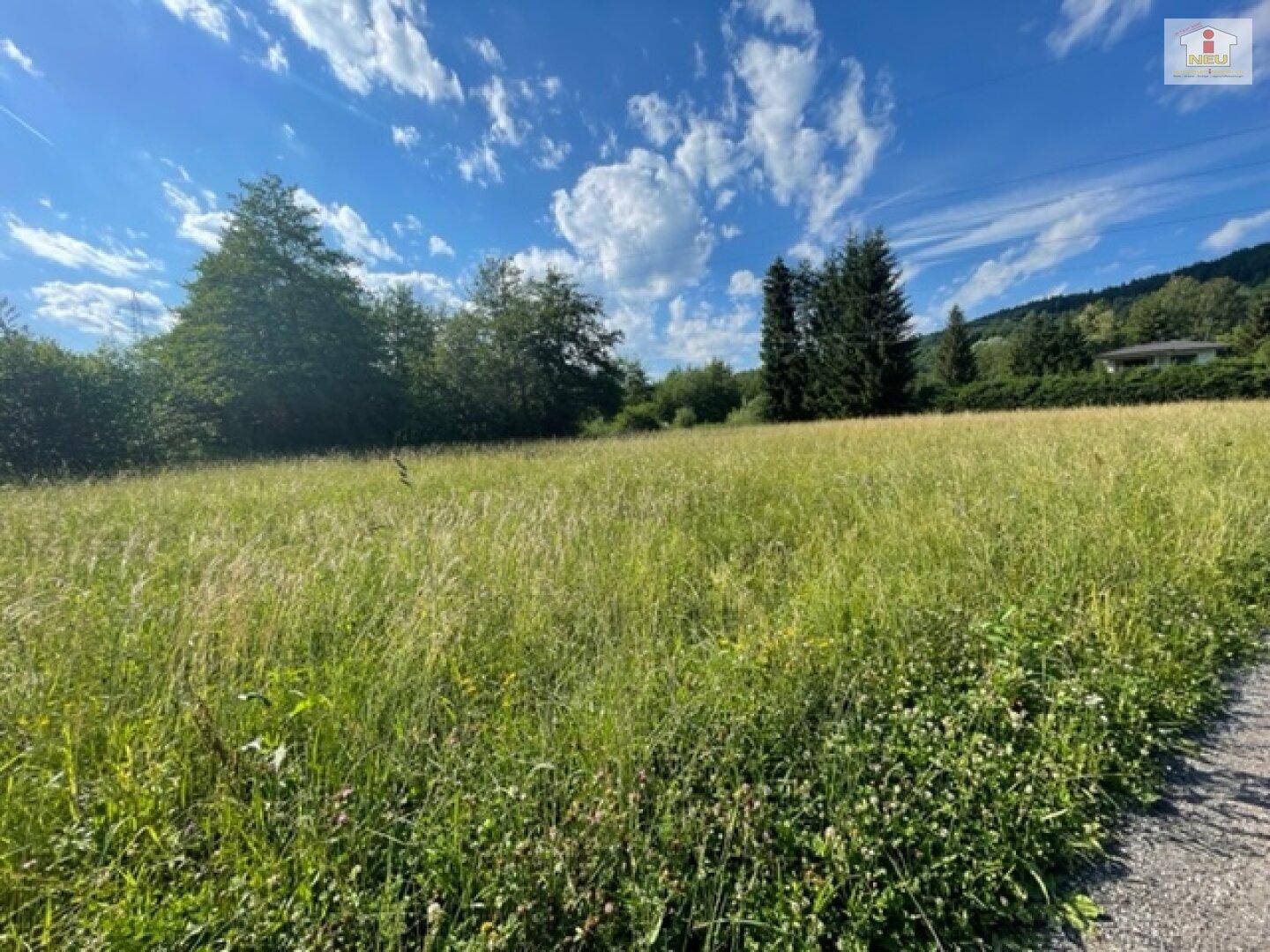 Schöne landwirtschaftliche Flächen mit 3.208m² - Nähe Hafnersee - Kein Baugrund!