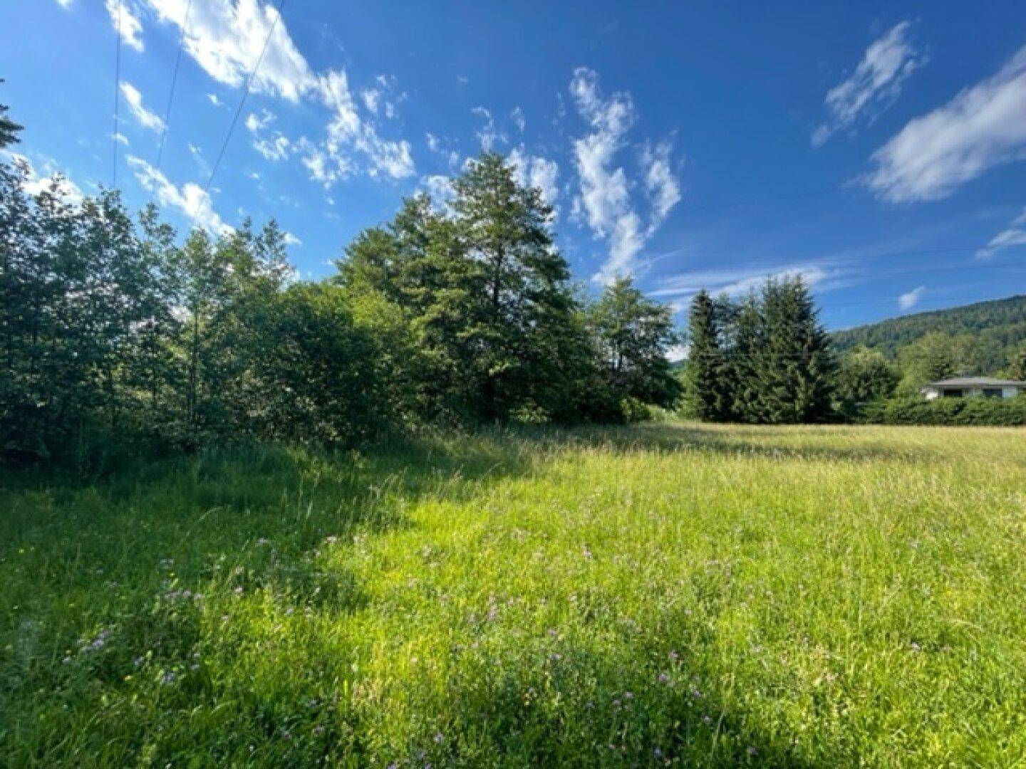 Schöne landwirtschaftliche Flächen mit 3.208m² - Nähe Hafnersee - Kein Baugrund!