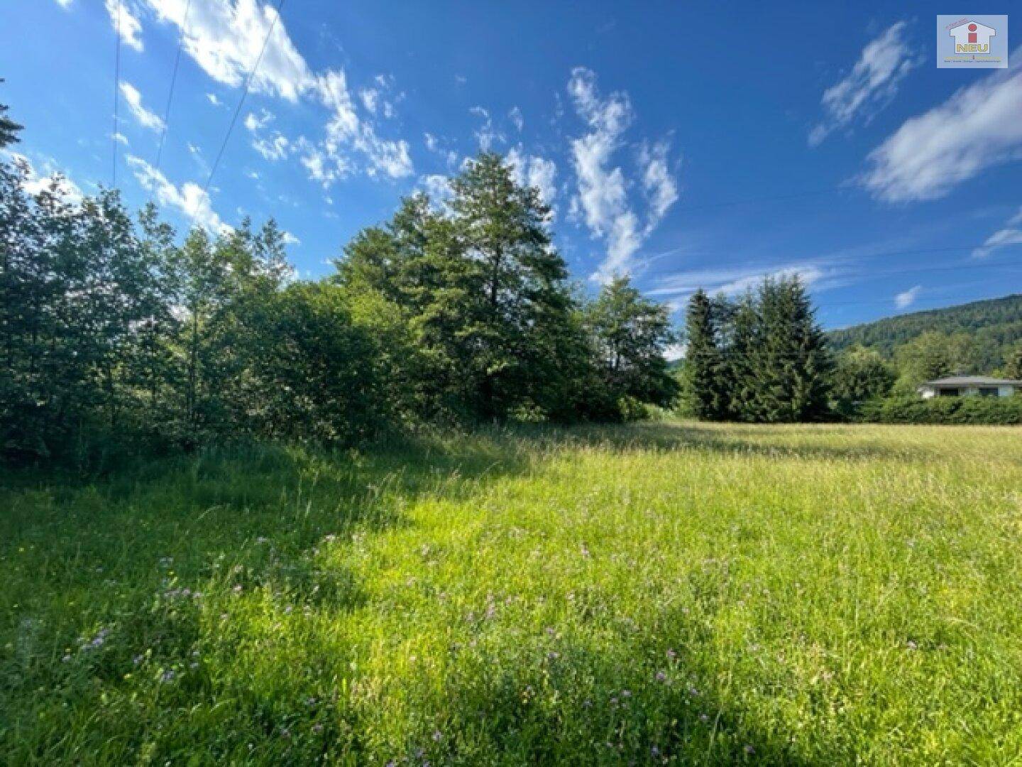 Schöne landwirtschaftliche Flächen mit 3.208m² - Nähe Hafnersee - Kein Baugrund!