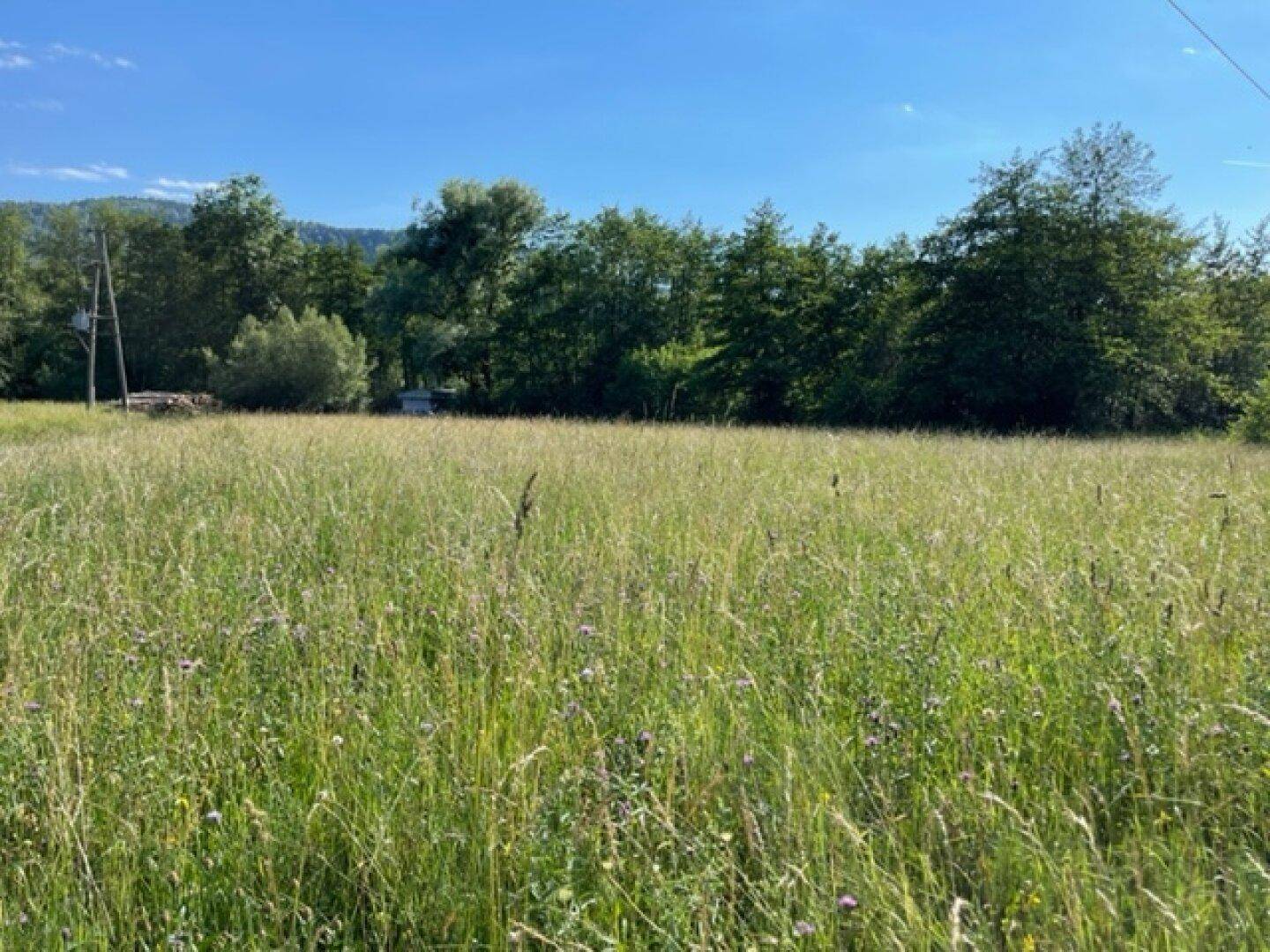 Schöne landwirtschaftliche Flächen mit 3.208m² - Nähe Hafnersee - Kein Baugrund!